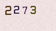 Visual Confirmation Security Code
