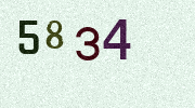 Visual Confirmation Security Code