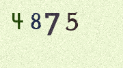 Visual Confirmation Security Code