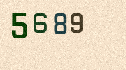 Visual Confirmation Security Code