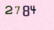 Visual Confirmation Security Code