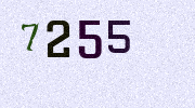 Visual Confirmation Security Code