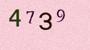 Visual Confirmation Security Code