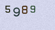 Visual Confirmation Security Code