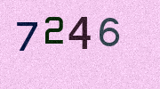 Visual Confirmation Security Code