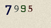 Visual Confirmation Security Code