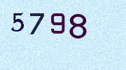 Visual Confirmation Security Code