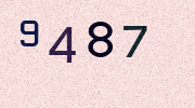 Visual Confirmation Security Code