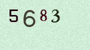 Visual Confirmation Security Code