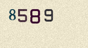 Visual Confirmation Security Code