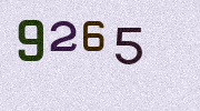 Visual Confirmation Security Code
