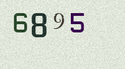 Visual Confirmation Security Code