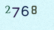 Visual Confirmation Security Code