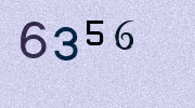 Visual Confirmation Security Code