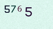 Visual Confirmation Security Code
