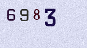 Visual Confirmation Security Code