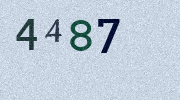 Visual Confirmation Security Code