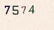 Visual Confirmation Security Code