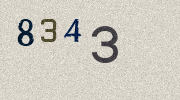 Visual Confirmation Security Code