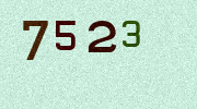 Visual Confirmation Security Code