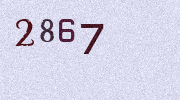 Visual Confirmation Security Code