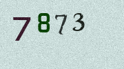 Visual Confirmation Security Code