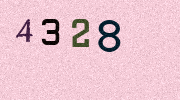 Visual Confirmation Security Code