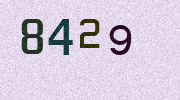 Visual Confirmation Security Code