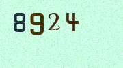 Visual Confirmation Security Code