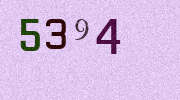 Visual Confirmation Security Code