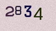 Visual Confirmation Security Code