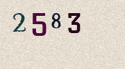 Visual Confirmation Security Code
