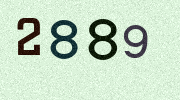 Visual Confirmation Security Code