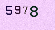 Visual Confirmation Security Code