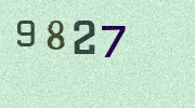 Visual Confirmation Security Code