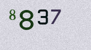Visual Confirmation Security Code