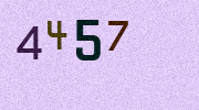 Visual Confirmation Security Code