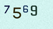 Visual Confirmation Security Code