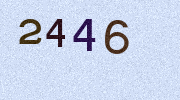 Visual Confirmation Security Code