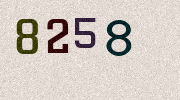 Visual Confirmation Security Code