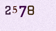 Visual Confirmation Security Code