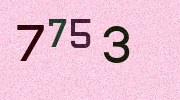 Visual Confirmation Security Code