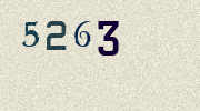 Visual Confirmation Security Code