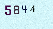 Visual Confirmation Security Code