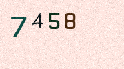 Visual Confirmation Security Code