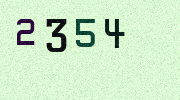 Visual Confirmation Security Code