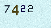 Visual Confirmation Security Code
