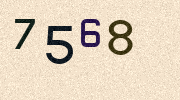 Visual Confirmation Security Code