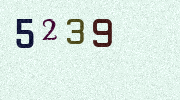 Visual Confirmation Security Code