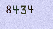 Visual Confirmation Security Code